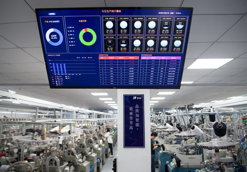 浙江诸暨 以计算机硬件开发开拓创新，驱动袜业新增长