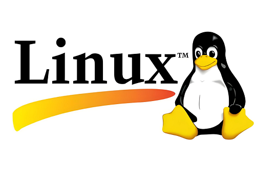 Linux 计算机硬件开发的核心本质